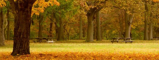 Autumn in Studley