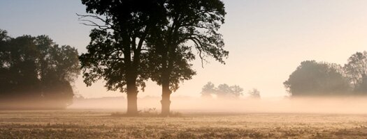Autumn in Studley